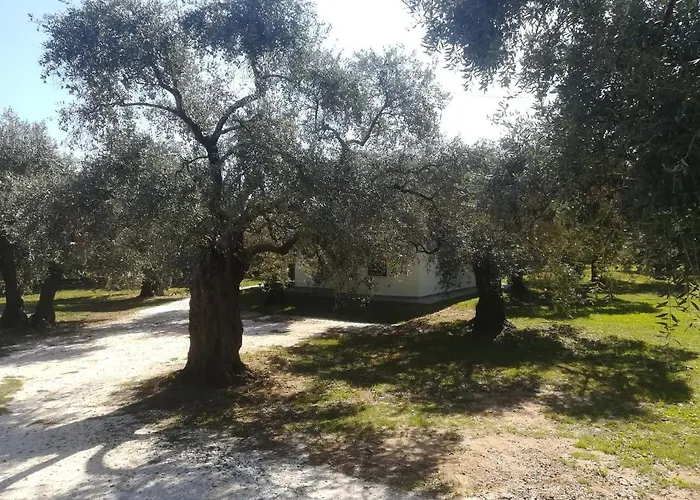 Case de vacanță Lucia's *