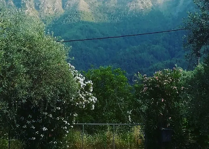 Lucia's Case de vacanță