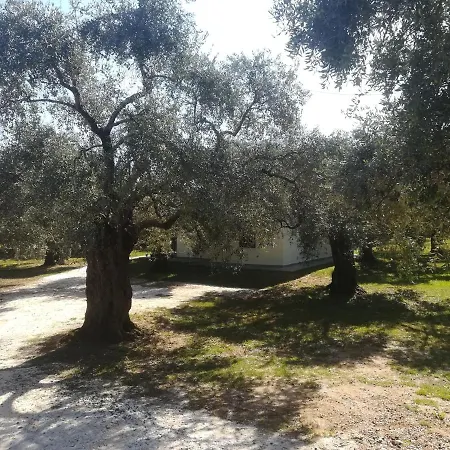 Semesterbostad Lucia's *